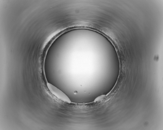 X0000093571120200710291034
