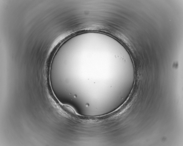 X0000093571122200710291034