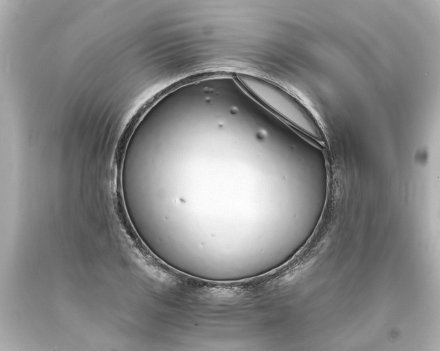 X0000093571125200710291034