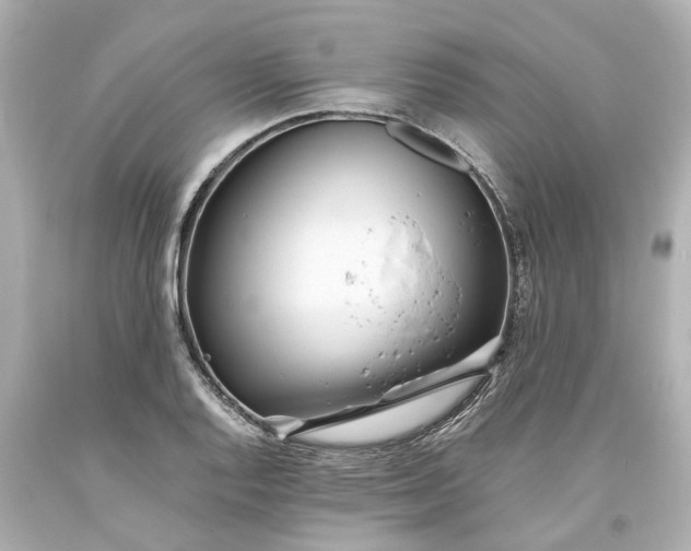 X0000093571128200710291034