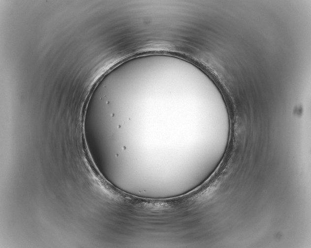 X0000093571129200710291034