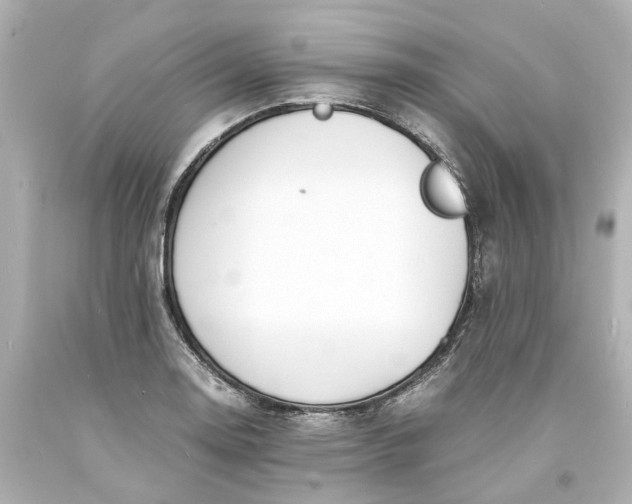 X0000093571130200710291034