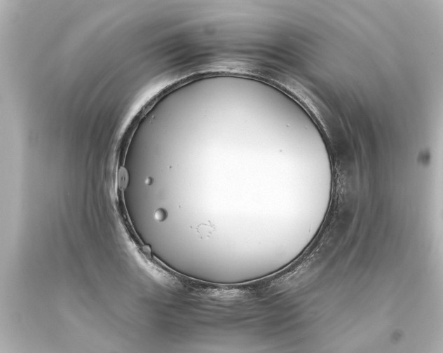 X0000093571131200710291034