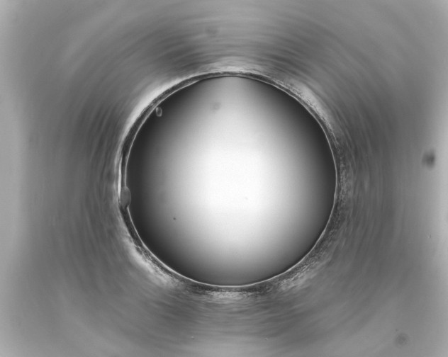 X0000093571132200710291034