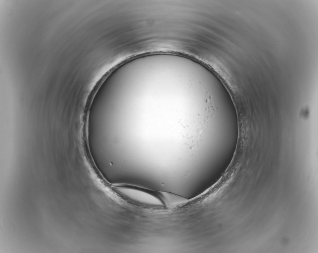 X0000093571134200710291034