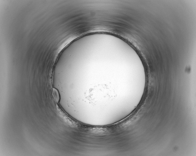 X0000093571137200710291034