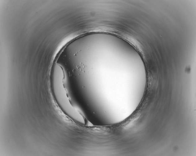 X0000093571138200710291034