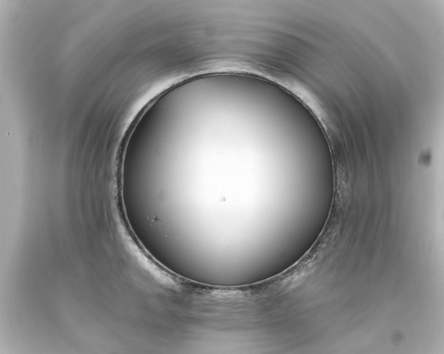 X0000093571142200710291034