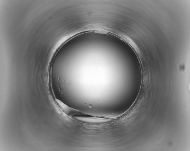 X0000093571144200710291034