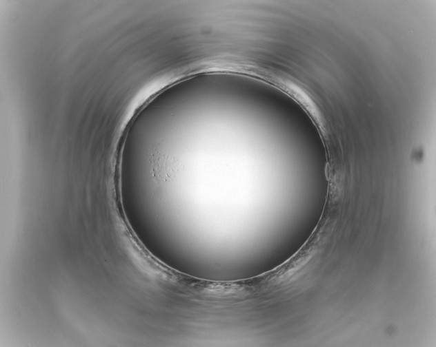 X0000093571146200710291034