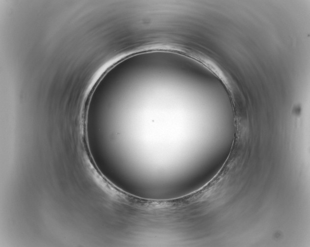 X0000093571148200710291034