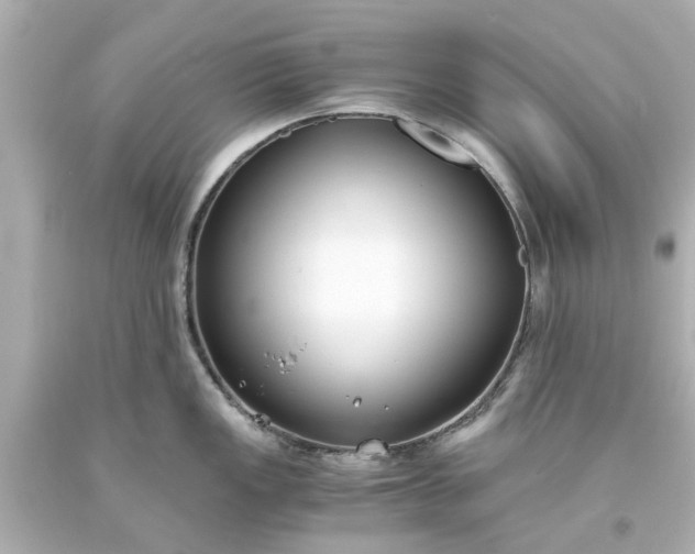 X0000093571149200710291034