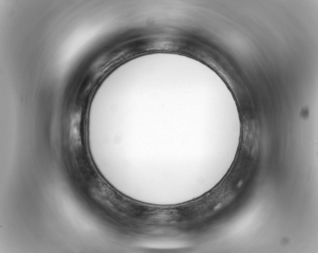 X0000093571150200710291034