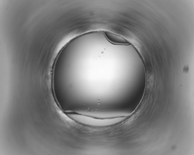 X0000093571151200710291035