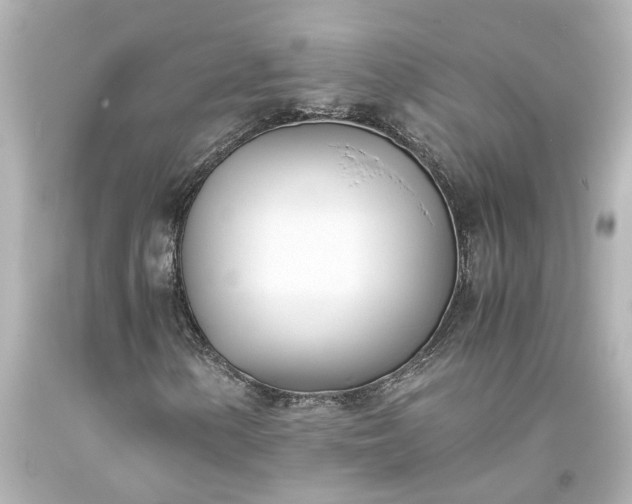 X0000093571154200710291034
