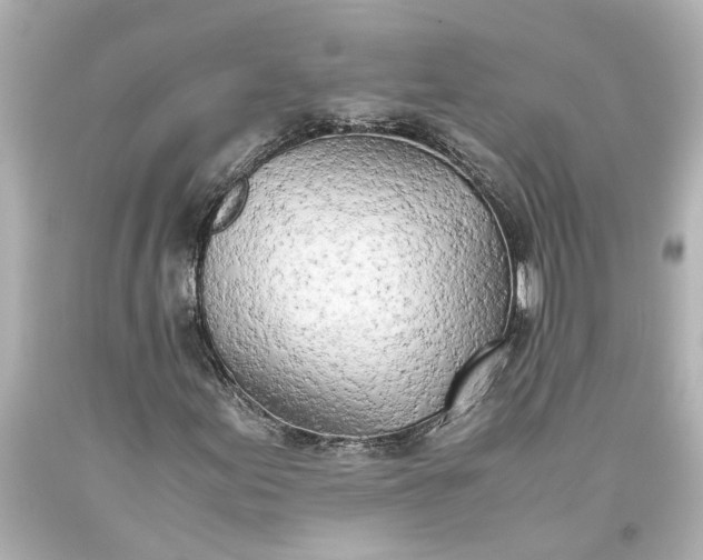 X0000093571155200710291034
