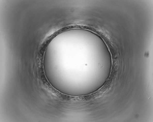 X0000093571159200710291034