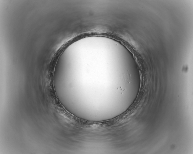 X0000093571160200710291034