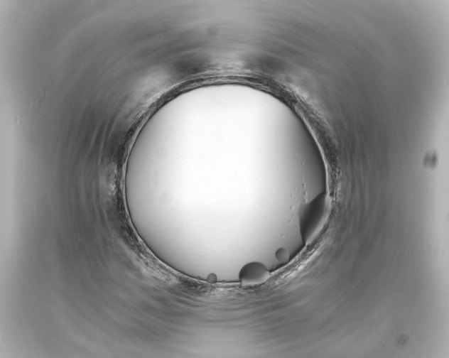 X0000093571161200710291034