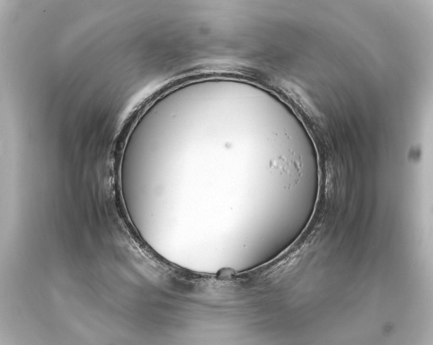 X0000093571164200710291034