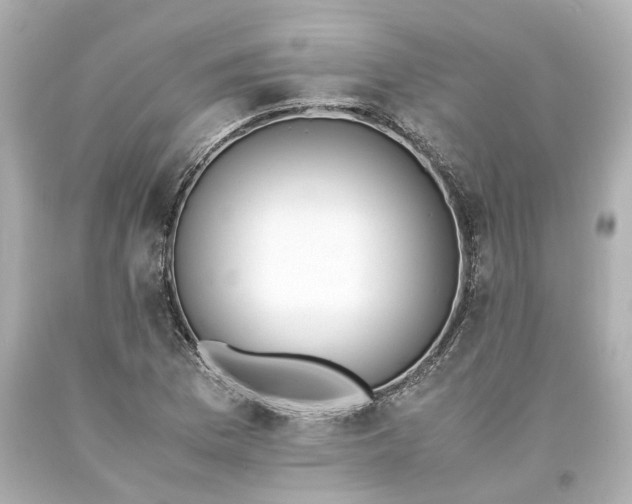 X0000093571169200710291034