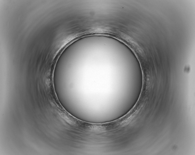 X0000093571170200710291034
