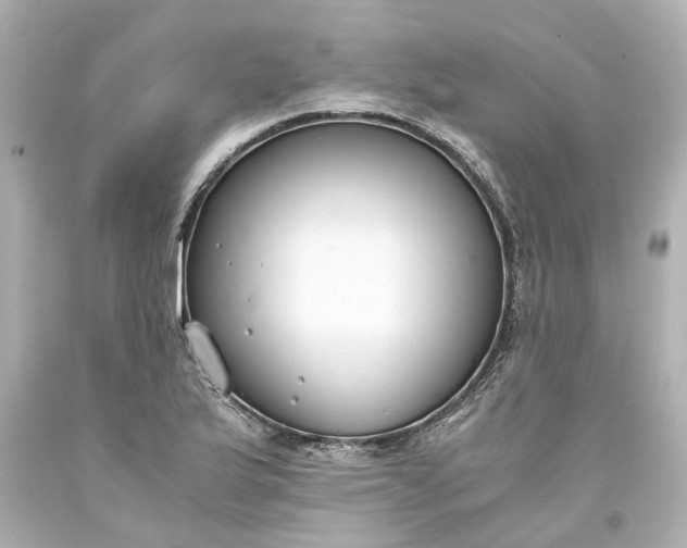 X0000093571175200710291034