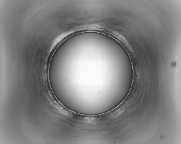 X0000093571176200710291034