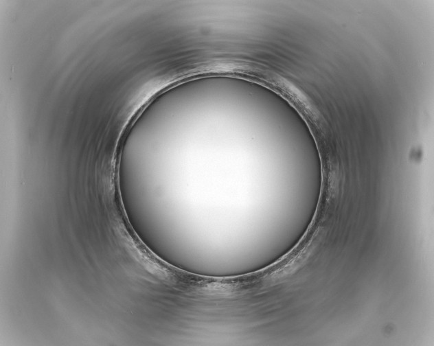 X0000093571178200710291034