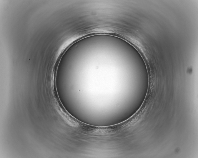 X0000093571179200710291034