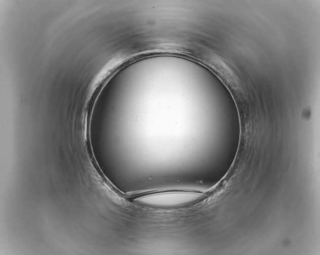 X0000093571180200710291034