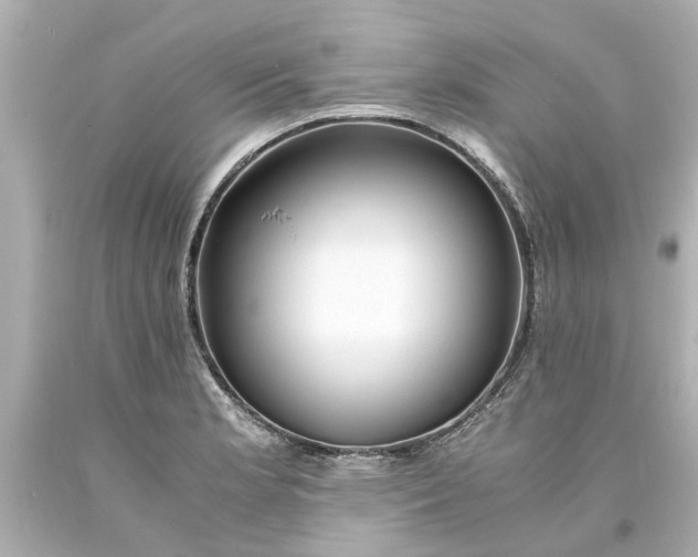 X0000093571181200710291034