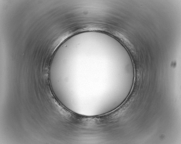 X0000093571185200710291034