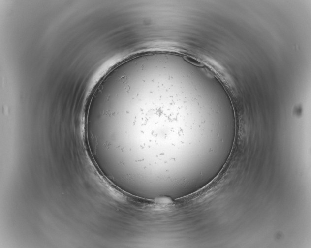 X0000093571188200710291033