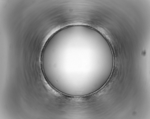 X0000093571189200710291033