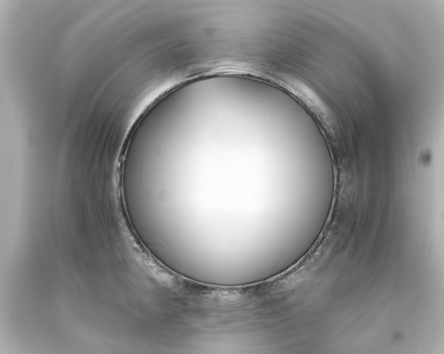 X0000093571190200710291033