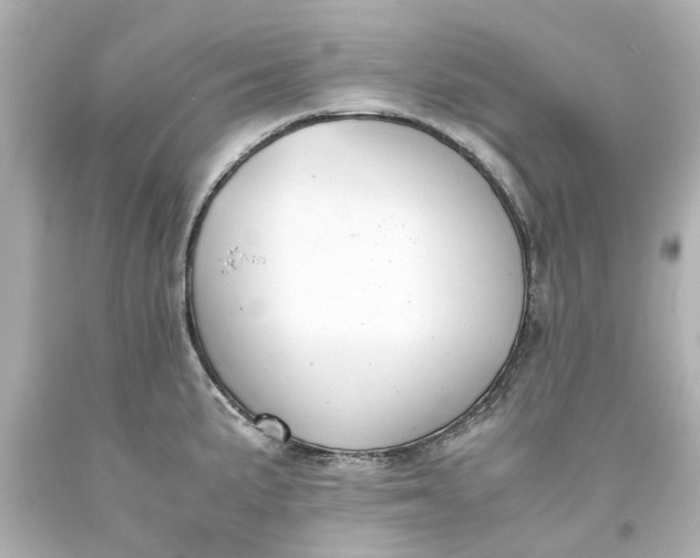 X0000093571191200710291033