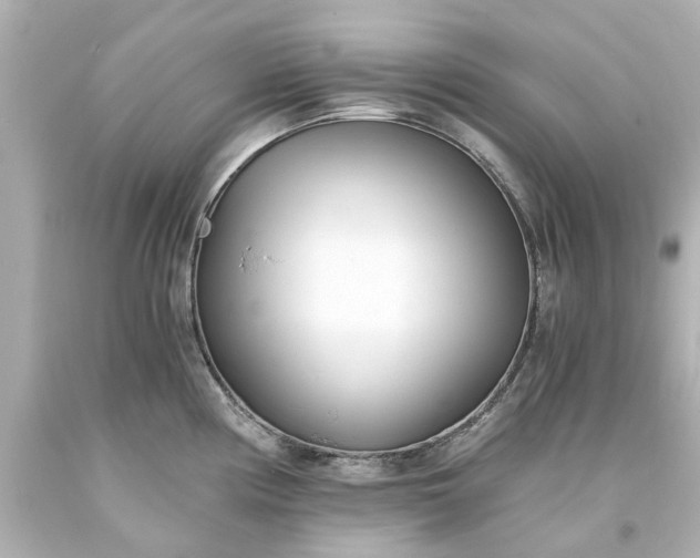 X0000093571194200710291033