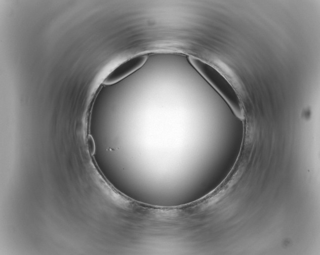 X0000093571196200710291033