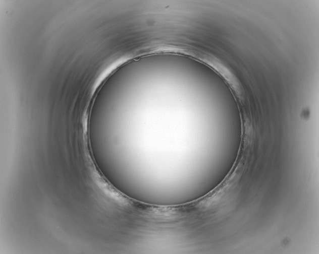 X0000093571198200710291033