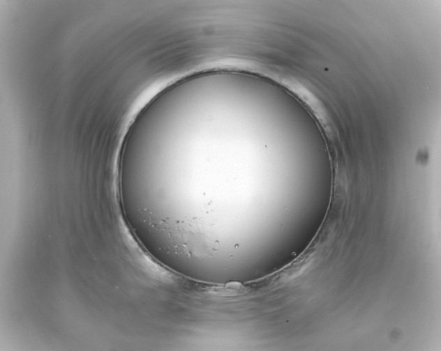 X0000093571199200710291033