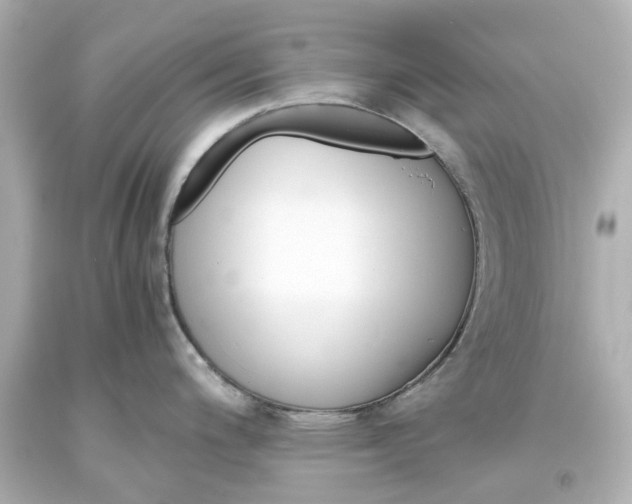 X0000093571200200710291033