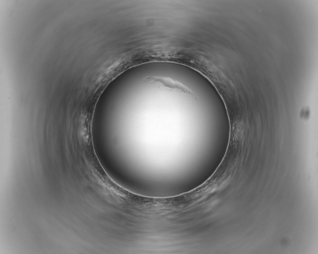 X0000093571202200710291033
