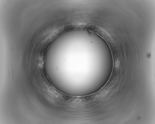 X0000093571204200710291033