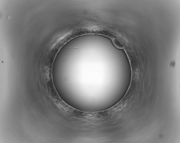 X0000093571205200710291033