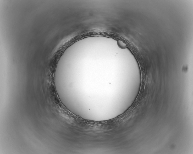 X0000093571207200710291033