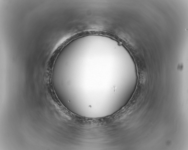 X0000093571208200710291033