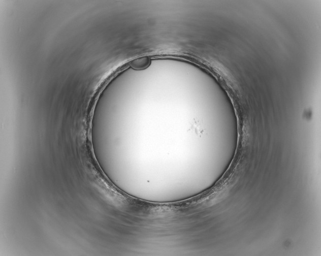 X0000093571212200710291033