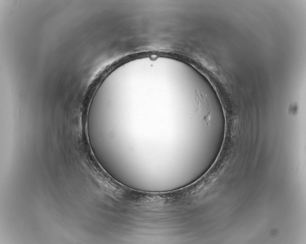 X0000093571214200710291033