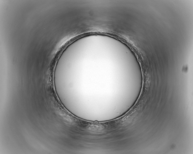X0000093571215200710291033